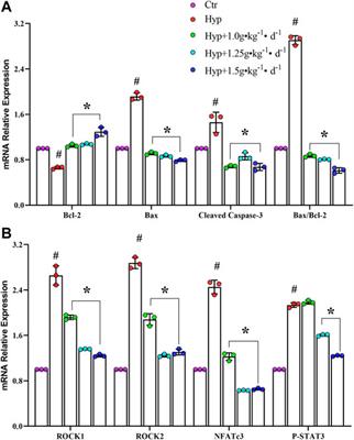 Tsantan Sumtang Restored Right <mark class="highlighted">Ventricular Function</mark> in Chronic Hypoxia-Induced Pulmonary Hypertension Rats